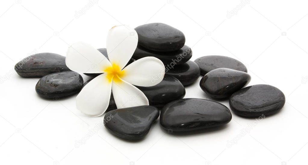 spa stones and beautiful plumeria on white 