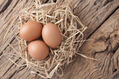 eski ahşap saman yuvadaki yumurta 