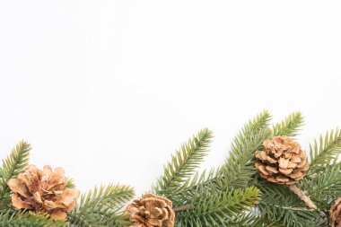 Noel arka plan çam yaprakları