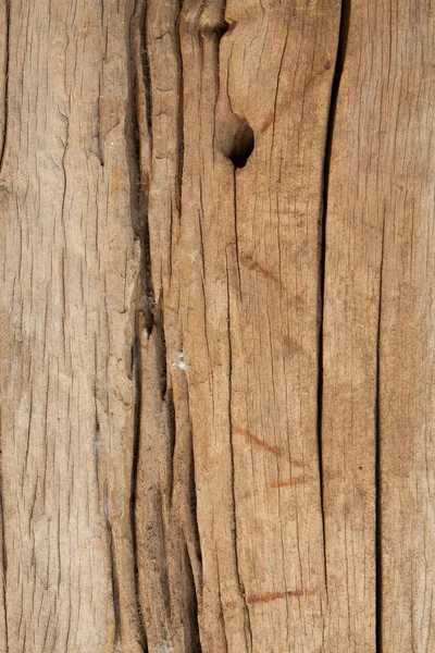 Struttura del legno di corteccia uso come aturale — Foto Stock