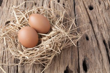 eski ahşap saman yuvadaki yumurta 