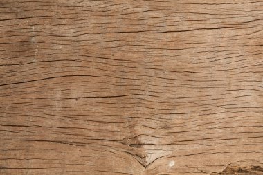 kabuk ahşap doku atural kullanmak 