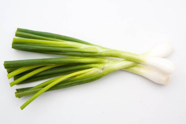 izole yeşil soğan