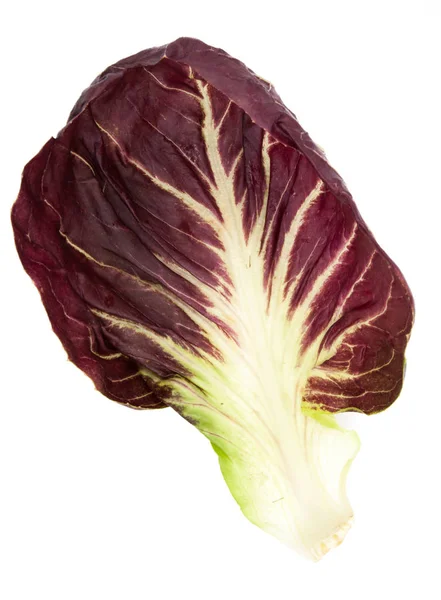 Salată roșie radicchio izolată pe alb — Fotografie, imagine de stoc