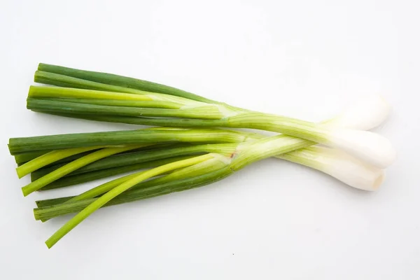 Green onion isolated Stock Picture