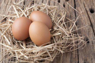 eski çuval üzerinde saman yuvadaki yumurta