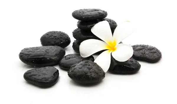 Wellness kameny a krásné plumeria na bílém — Stock fotografie