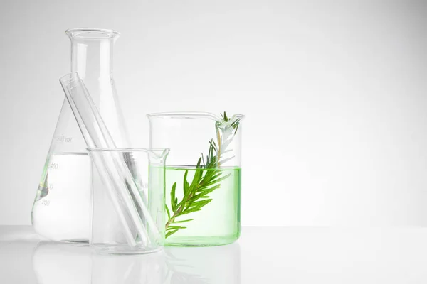 Gyógynövény természetes szerves és tudományos üvegáru — Stock Fotó