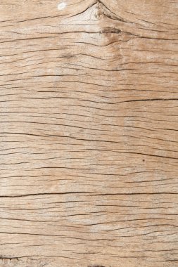 kabuk ahşap doku atural kullanmak 