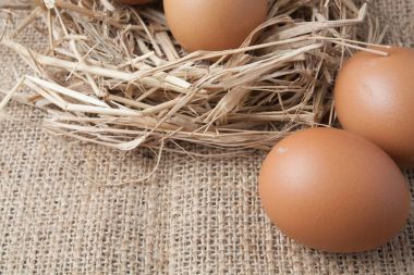 eski çuval üzerinde saman yuvadaki yumurta