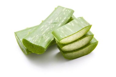 Aloe Vera izole dilimlenmiş 