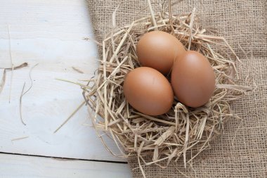 karanlık vintage ahşap üzerinde yuvadaki yumurta 