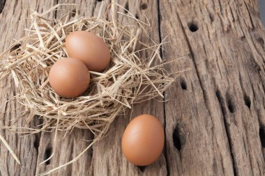 eski ahşap saman yuvadaki yumurta 