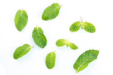 Taze yeşil nane yaprakları beyazda izole.