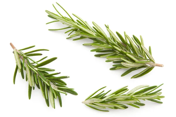 Rosemary isolated on white — Stock Photo, Image