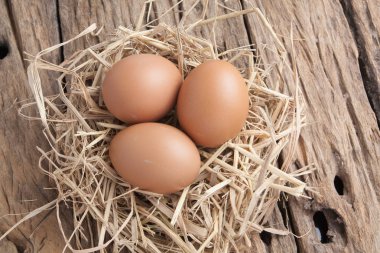 eski ahşap saman yuvadaki yumurta 