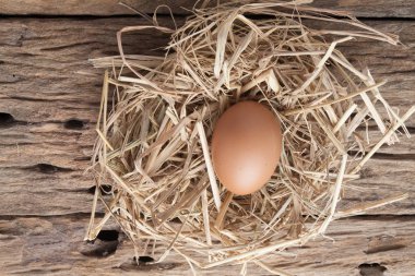 eski ahşap saman yuvadaki yumurta 