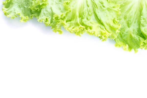 Leaf sallat isolerad på vit — Stockfoto