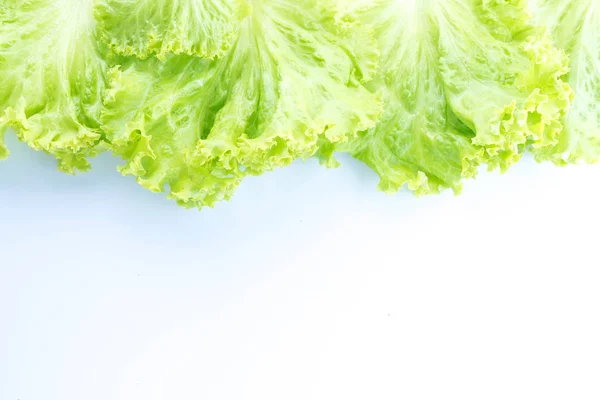 Lechuga de hoja aislada sobre blanco —  Fotos de Stock