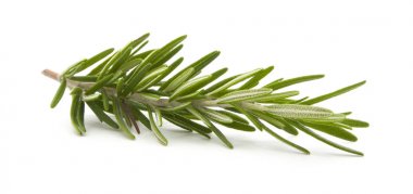 Biberiye beyazda izole edilmiş 