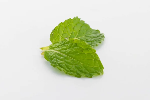 흰색에 분리되어 있는 싱싱 한 박하 잎 — 스톡 사진