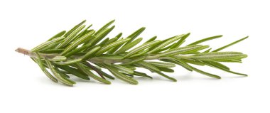 Biberiye beyazda izole edilmiş 