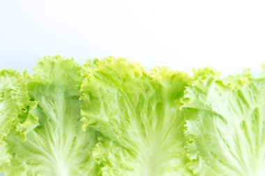 beyaz izole yaprak marul