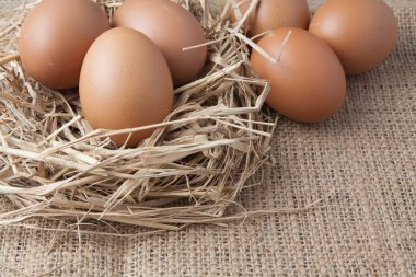 eski çuval üzerinde saman yuvadaki yumurta