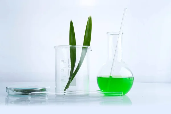 Kruidengeneeskunde natuurlijke organische en wetenschappelijke glaswerk — Stockfoto