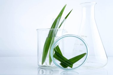 bitkisel ilaç doğal organik ve bilimsel cam ürünleri