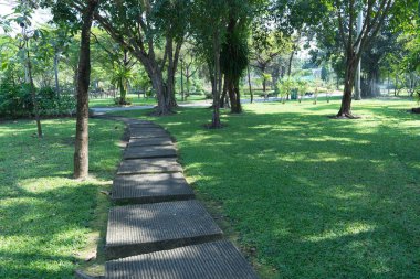 yemyeşil bir parkta yol