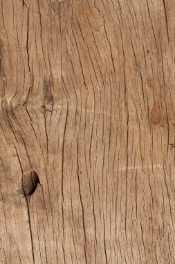 kabuk ahşap doku atural kullanmak 