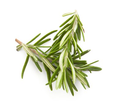 Biberiye beyazda izole edilmiş 