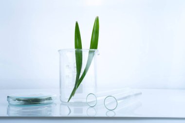 bitkisel ilaç doğal organik ve bilimsel cam ürünleri