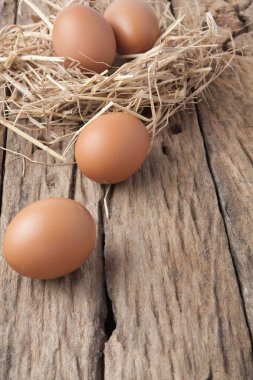 eski ahşap saman yuvadaki yumurta 