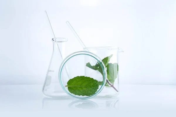 Pflanzliche Medizin natürliche organische und wissenschaftliche Gläser — Stockfoto
