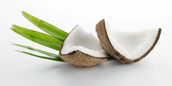 Noci di cocco con foglie isolate sul bianco — Foto Stock