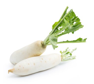 beyaz izole daikon turp 