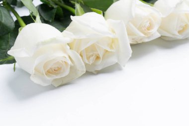 Bir beyaz beyaz güller 