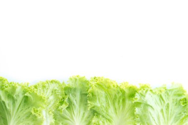 beyaz izole yaprak marul