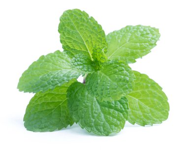 İzole üzerinde beyaz taze çiğ nane yaprakları