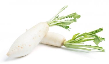 beyaz izole daikon turp 