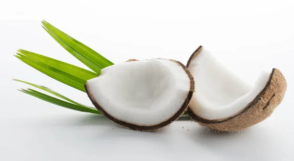 Cocos com folhas isoladas no branco — Fotografia de Stock