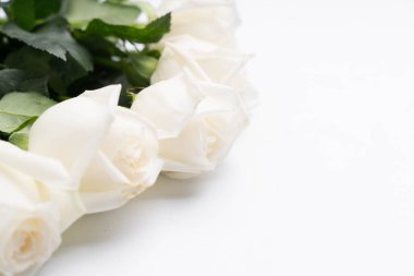 Bir beyaz beyaz güller 