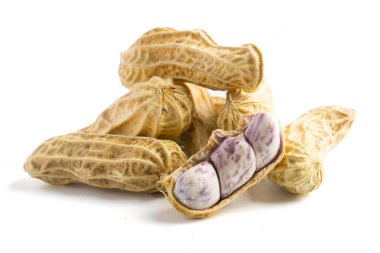 Penuts beyaz bir arka plan üzerinde