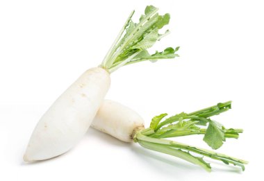 beyaz izole daikon turp 