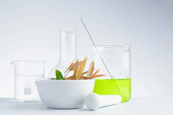 Lek ziołowy naturalny organiczny i naukowych szkło — Zdjęcie stockowe