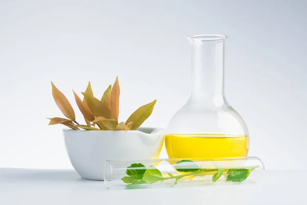 Травяная медицина природные органические и научные изделия из стекла — стоковое фото