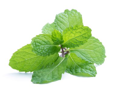 İzole üzerinde beyaz taze çiğ nane yaprakları