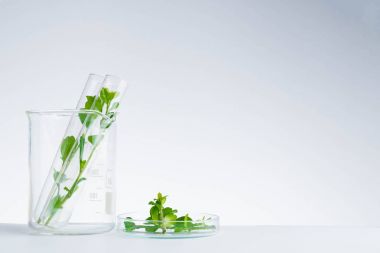 bitkisel ilaç doğal organik ve bilimsel cam ürünleri